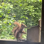 別荘 Hoernchen ヘレンタール