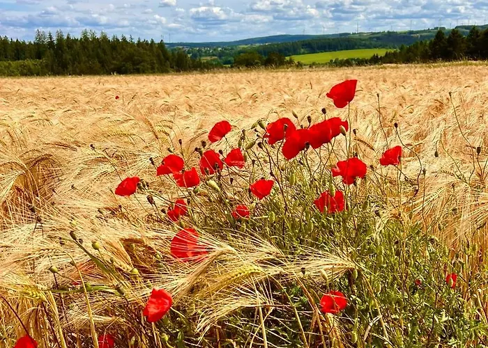 Vakantiehuis Hoernchen *
